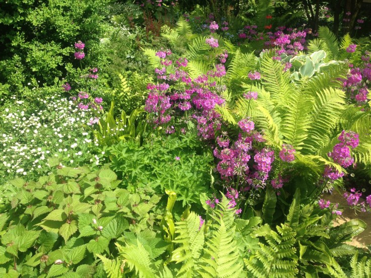 Photo 27-05-2017, 21 08 20