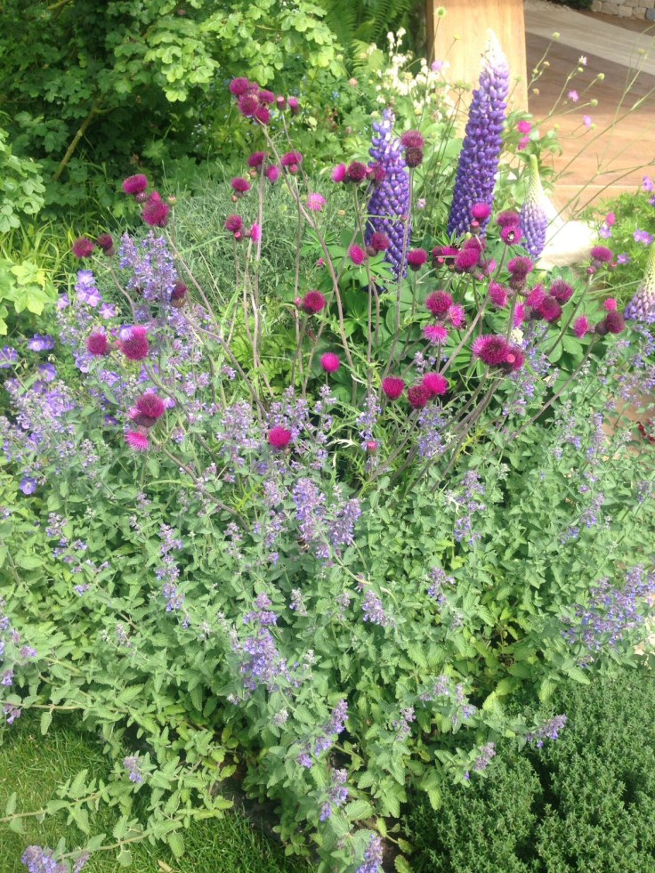 Photo 27-05-2017, 21 08 29