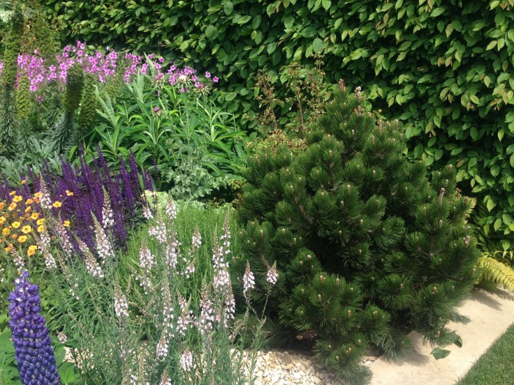 Photo 27-05-2017, 21 08 40