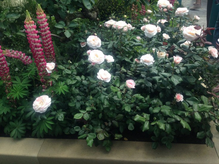 Photo 27-05-2017, 21 08 43