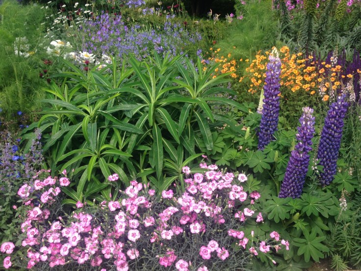 Photo 27-05-2017, 21 08 50