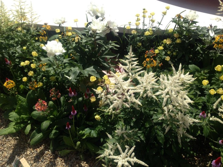 Photo 27-05-2017, 21 10 57