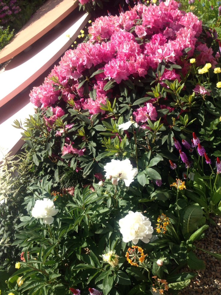 Photo 27-05-2017, 21 11 03