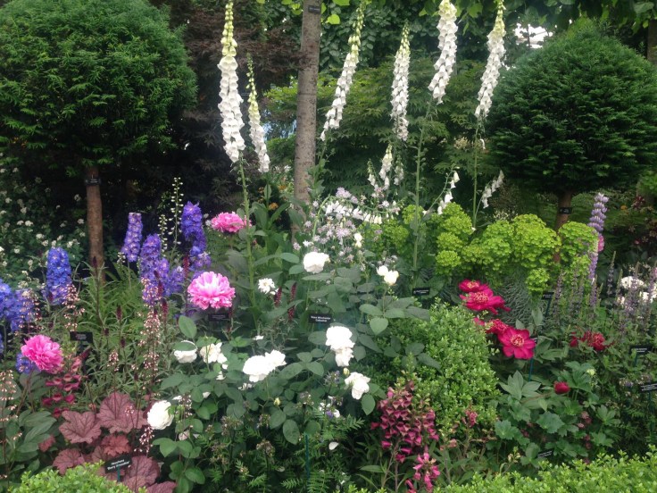 Photo 27-05-2017, 21 11 18