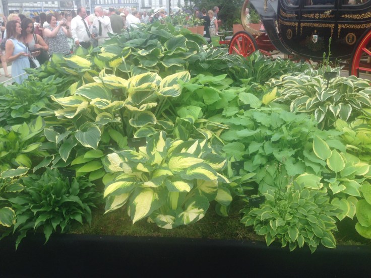 Photo 27-05-2017, 21 11 23