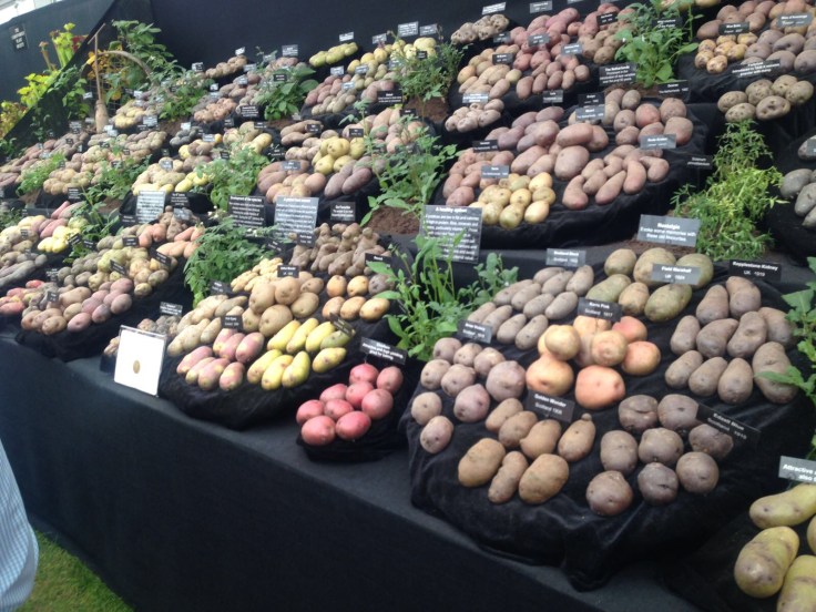 Photo 27-05-2017, 21 12 30