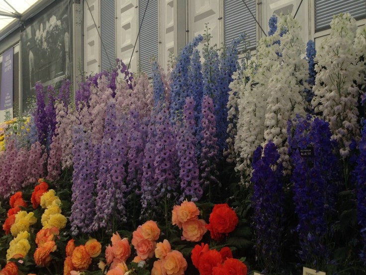 Photo 27-05-2017, 21 12 33