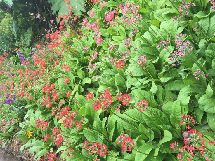 Photo 17-06-2018, 2 11 11 pm