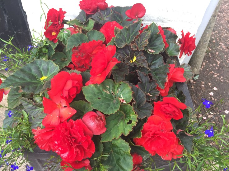 Photo 17-06-2018, 2 29 26 pm