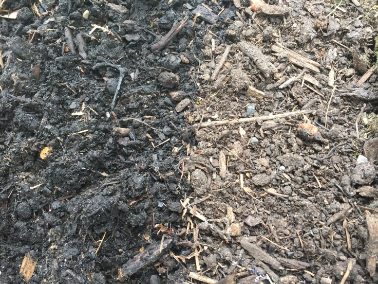 Photo 20-07-2018, 10 35 02 am