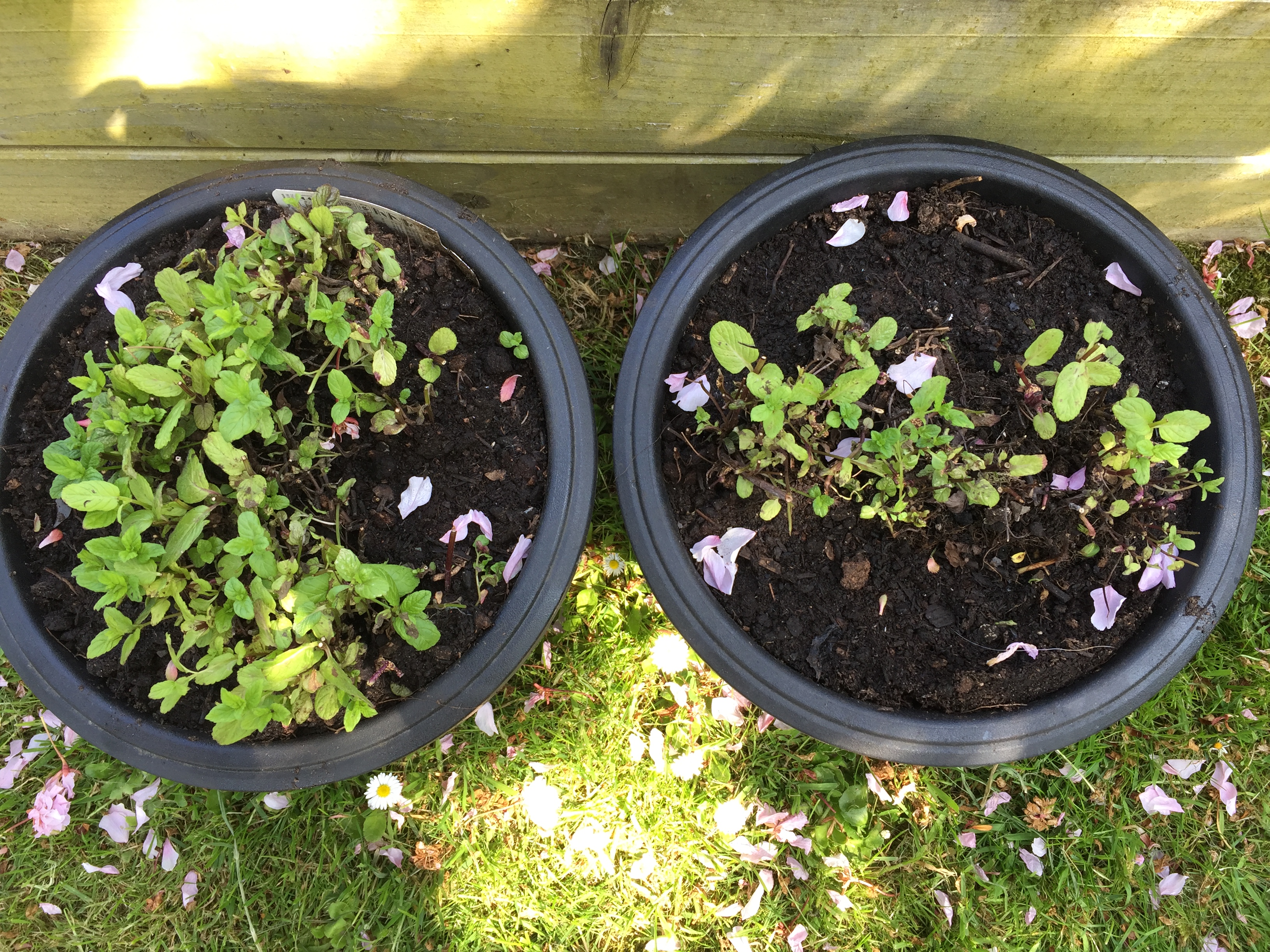 Photo 26-05-2018, 12 32 48 pm