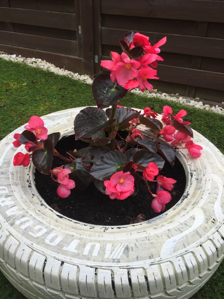 Photo 27-07-2017, 12 38 58