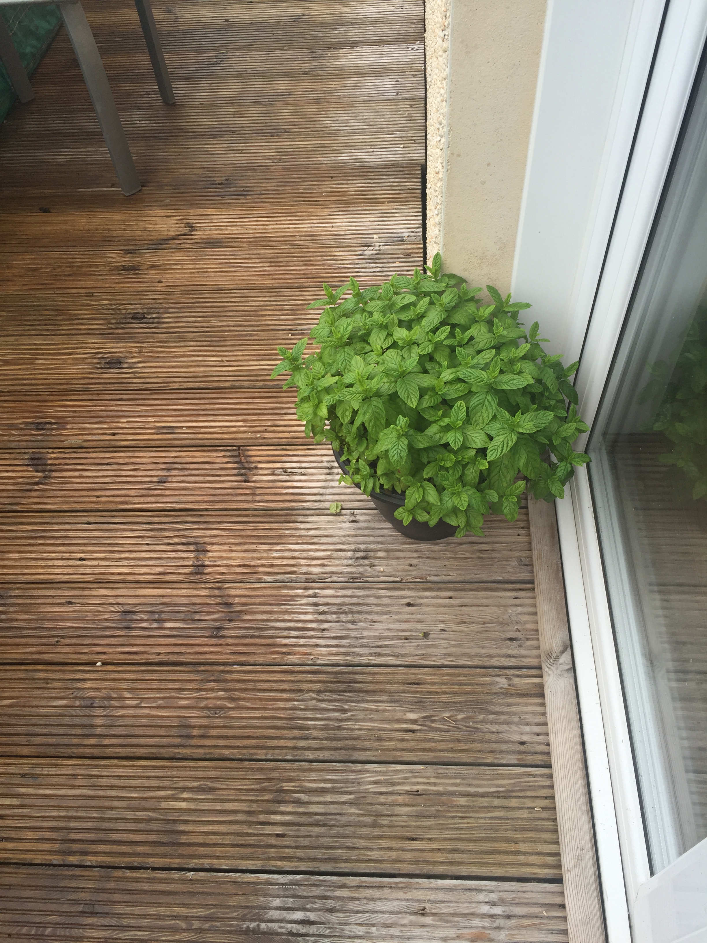 Photo 28-07-2018, 11 34 33 am