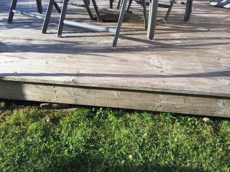 Photo 19-07-2018, 7 37 14 pm