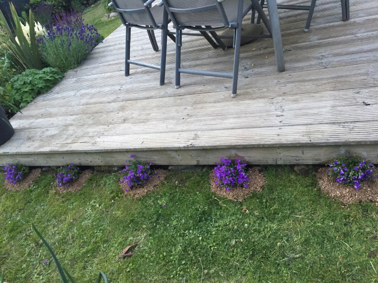 Photo 19-07-2018, 9 25 32 pm