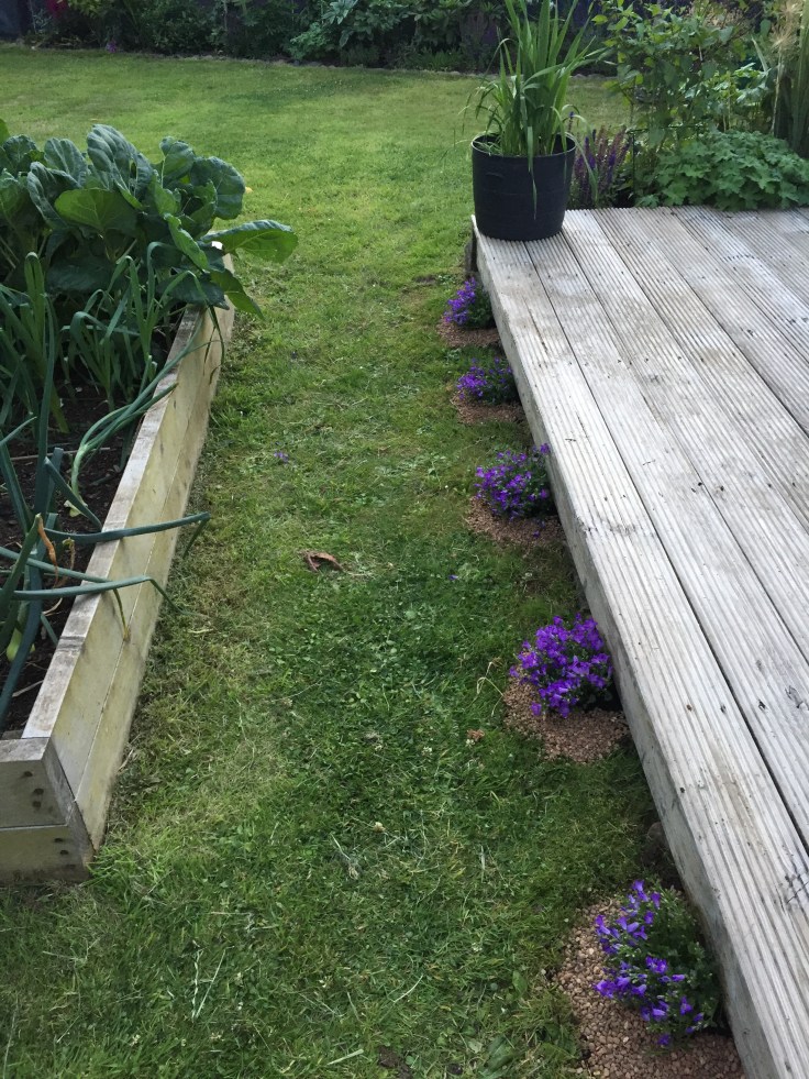 Photo 19-07-2018, 9 26 02 pm