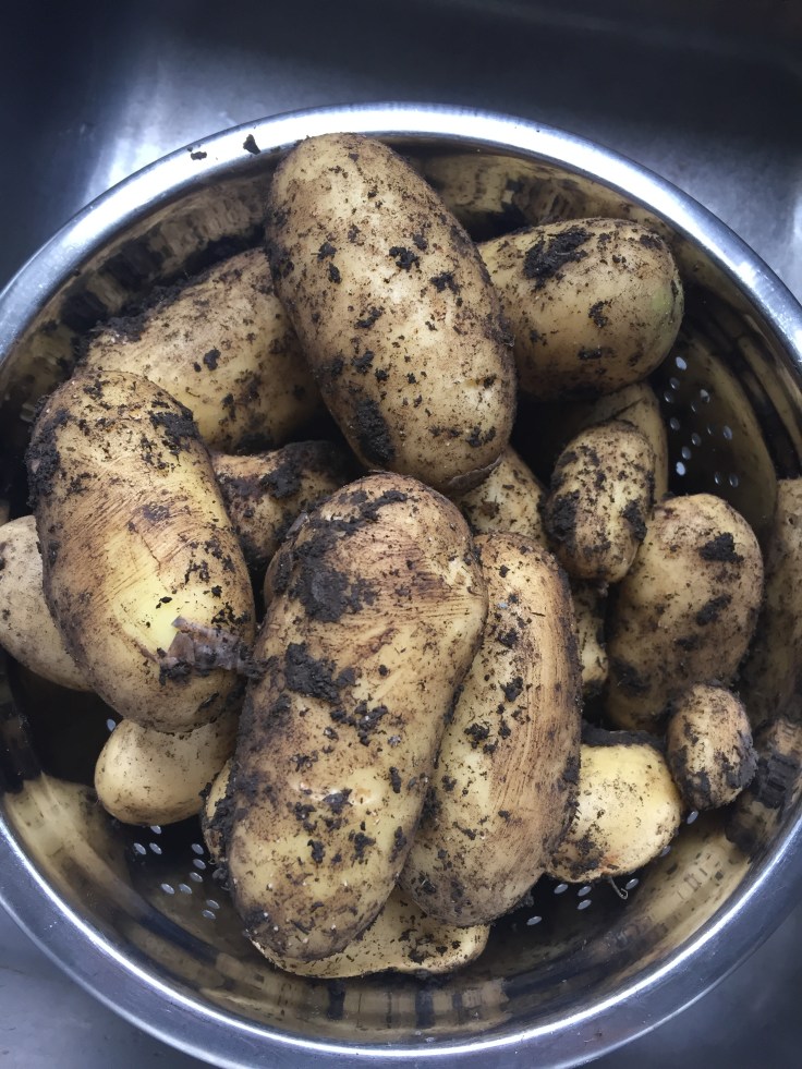 Photo 21-07-2017, 17 38 54