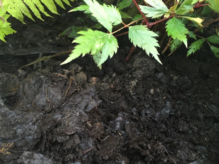 Photo 03-09-2018, 7 18 31 pm