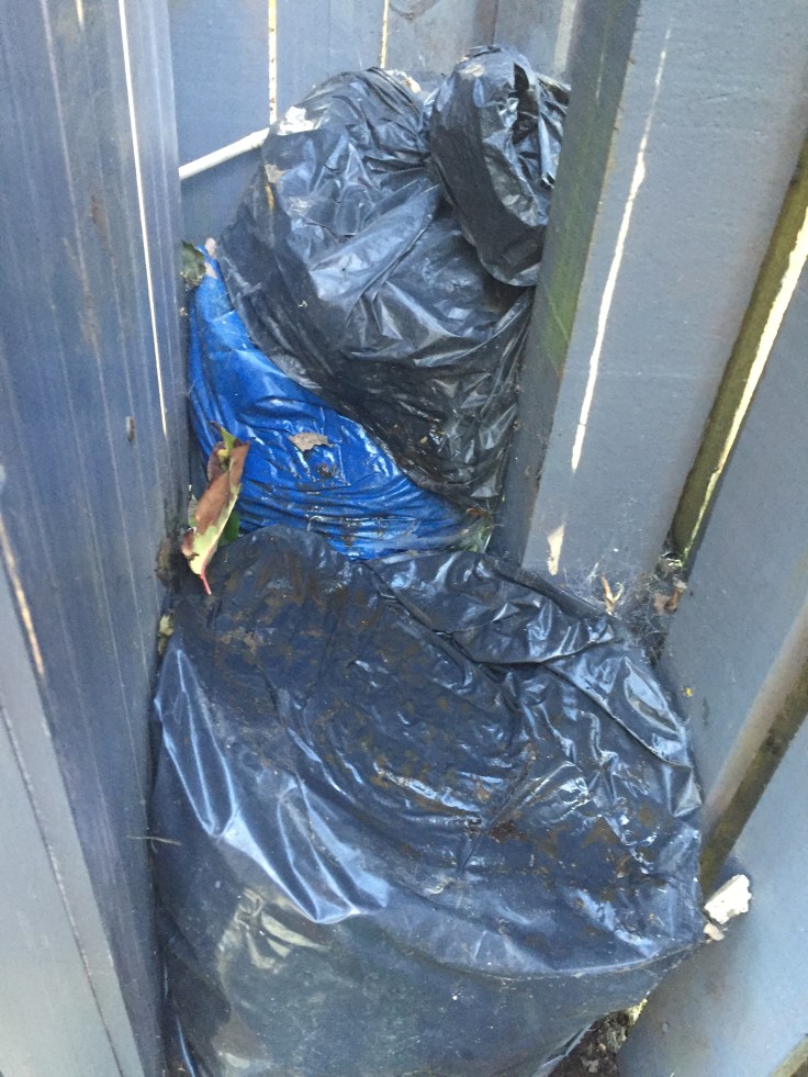 Photo 07-10-2017, 5 05 04 pm