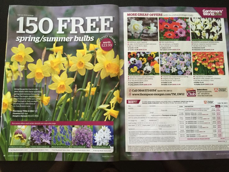 Photo 29-08-2018, 4 24 49 pm