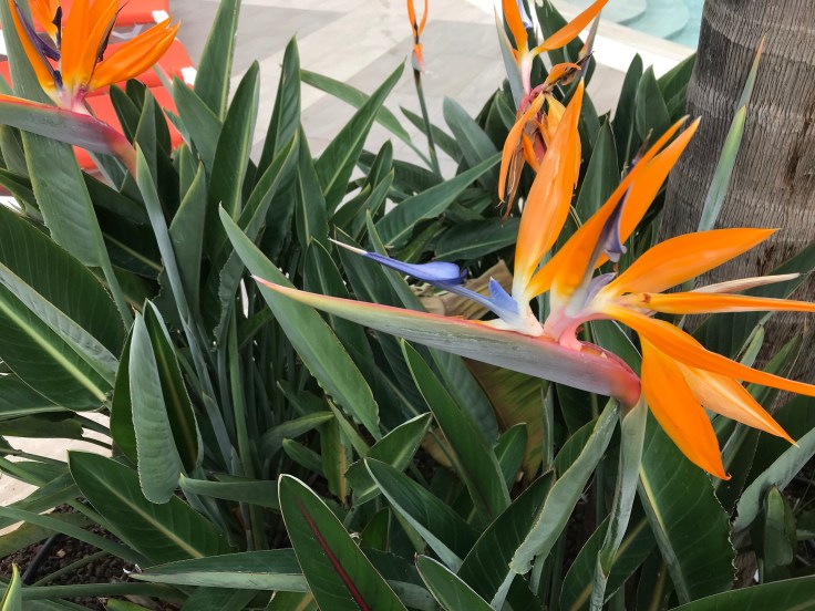 Photo 18-10-2018, 7 31 13 am