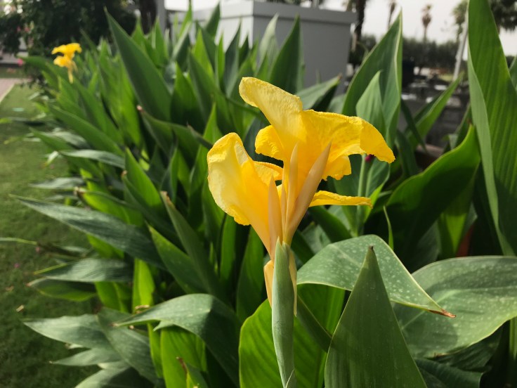 Photo 18-10-2018, 8 21 27 am