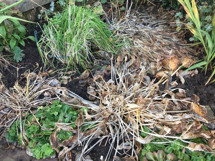 Photo 04-11-2018, 2 01 33 pm