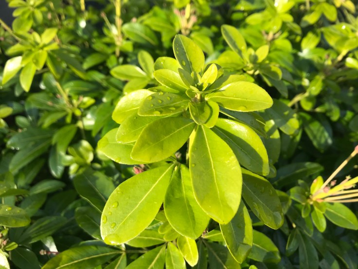 This image has an empty alt attribute; its file name is photo-13-11-2019-1-42-09-pm.jpg